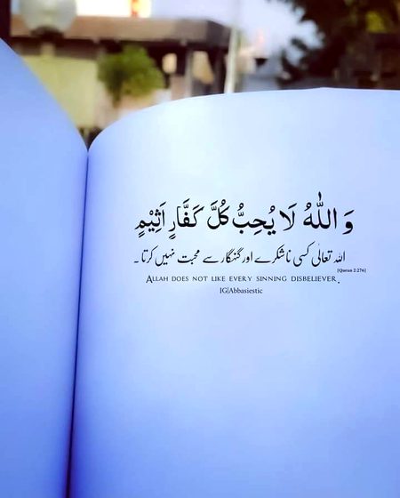 Islamic Quotes image