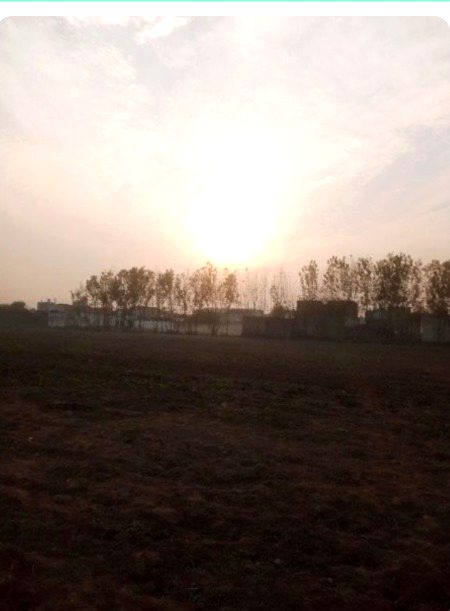 Beautiful Nature image