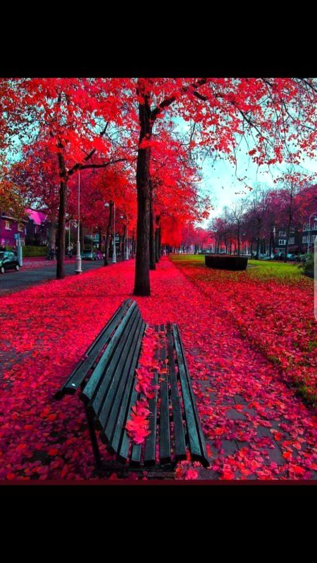 Beautiful Nature image