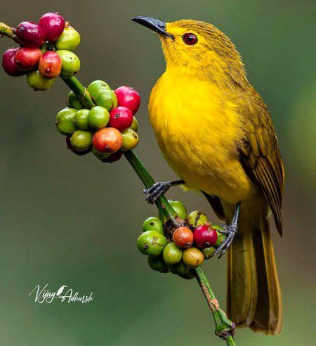 Beautiful Nature image