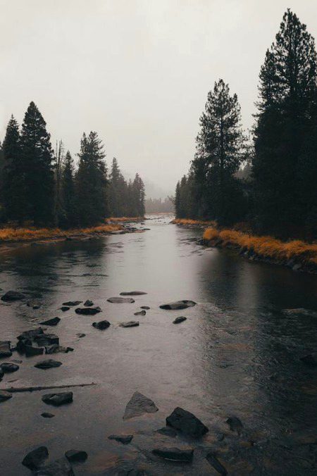 Beautiful Nature image