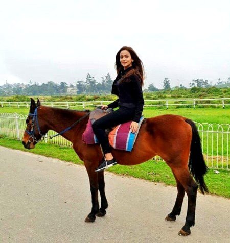 Pakistani Celebs image