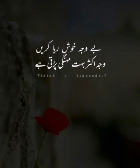 Dhyron duain aap sub k leay 
☺️Duaon main yad rakheay ga