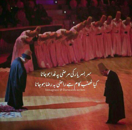 Superub 🌺🌺🌺