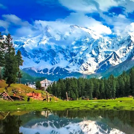 Beautiful Nature image