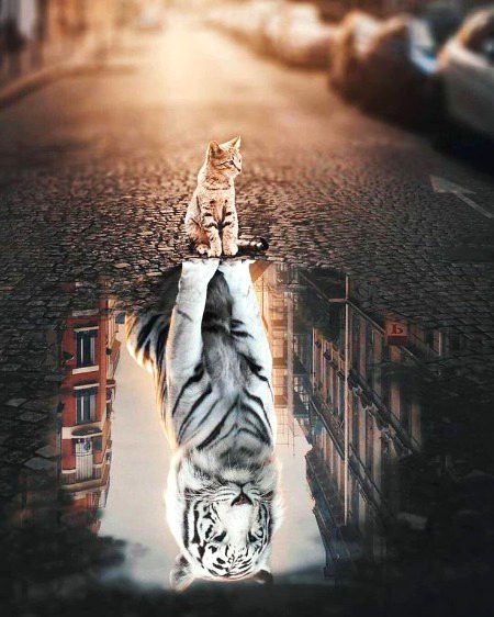 Beautiful Nature image