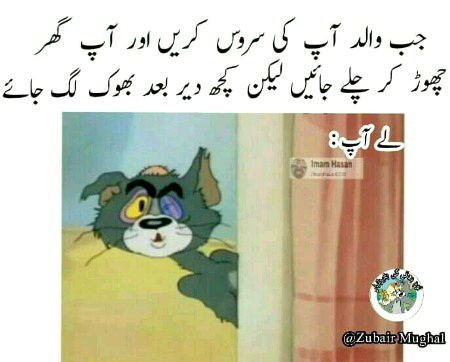 Memes & Satire image