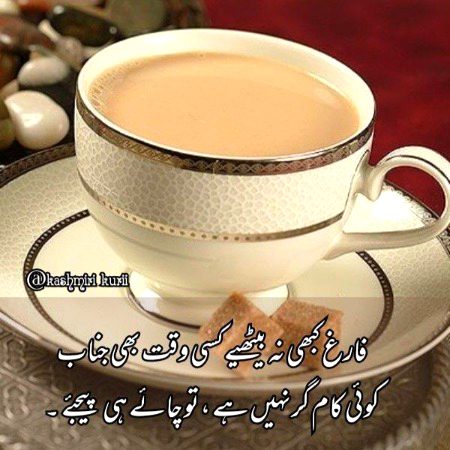 Tim he tim chai he chai