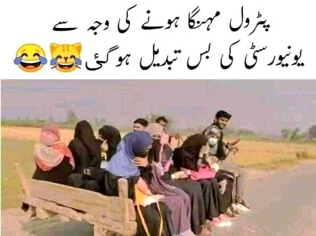 Memes & Satire image