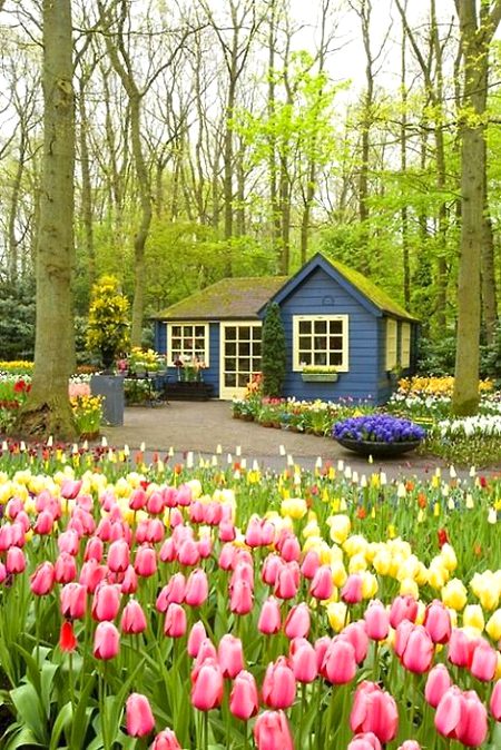 Beautiful Nature image