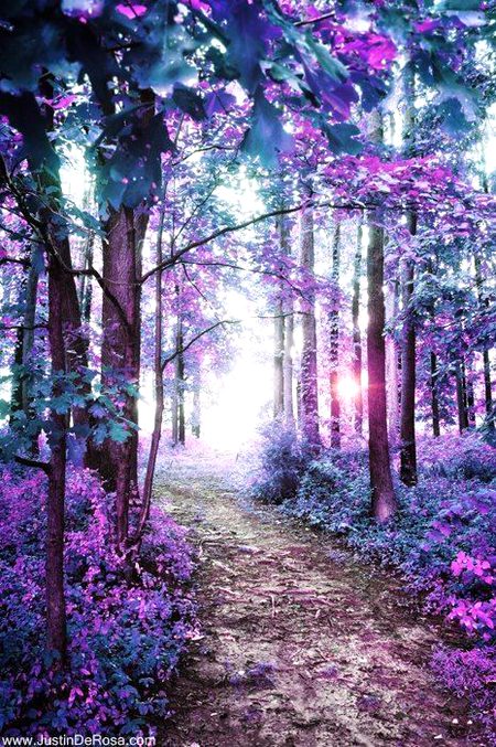 Beautiful Nature image