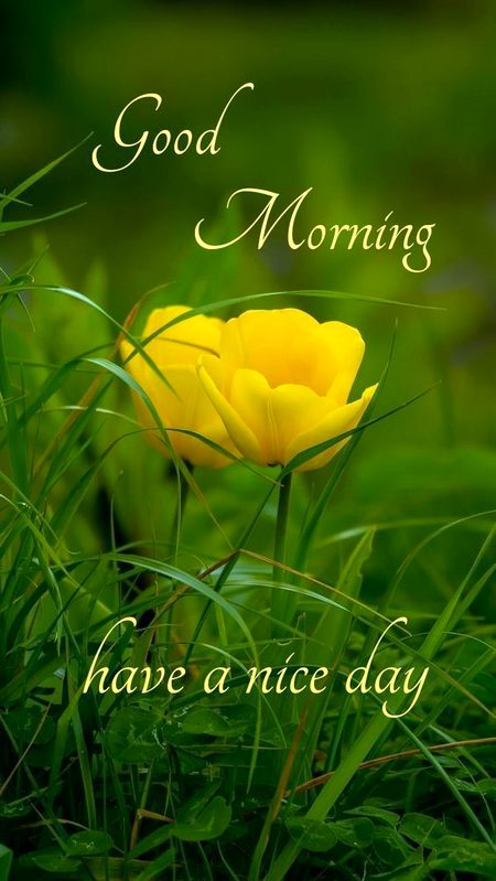 Aalam mulkum 🙂 kise ho sb 🌹💐🌷🌹