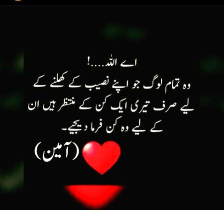 Aameen 🤍🌼🌺🌻