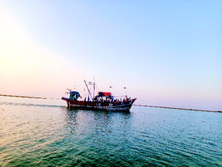 Koi like nai karta meka foto ko😒😒