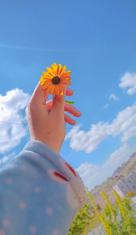 Beautiful Nature image