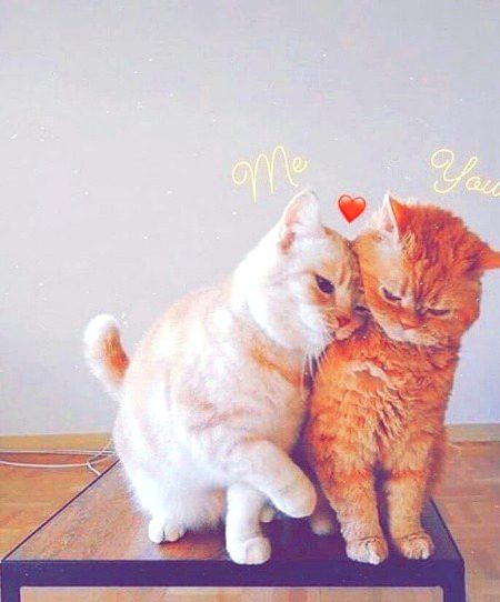 Beautiful Nature image