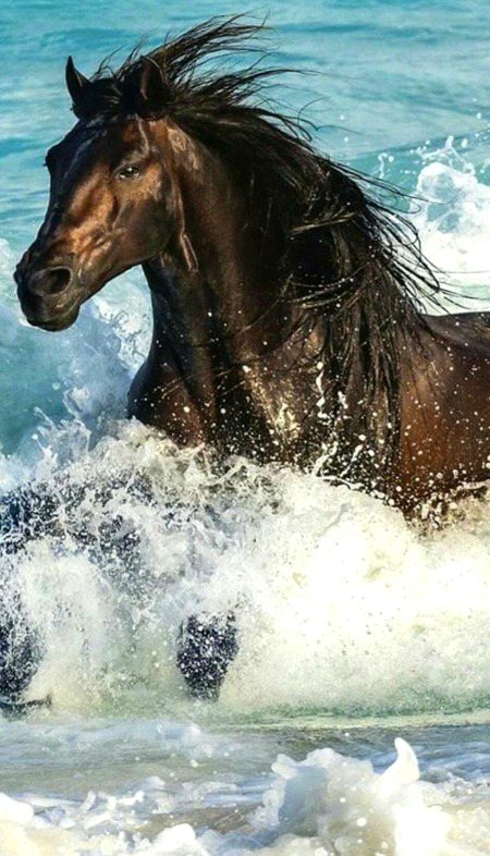 Beautiful Nature image