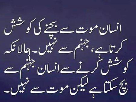 Beshaq 🌹🌹🌹🌹