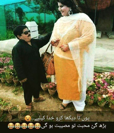 Memes & Satire image