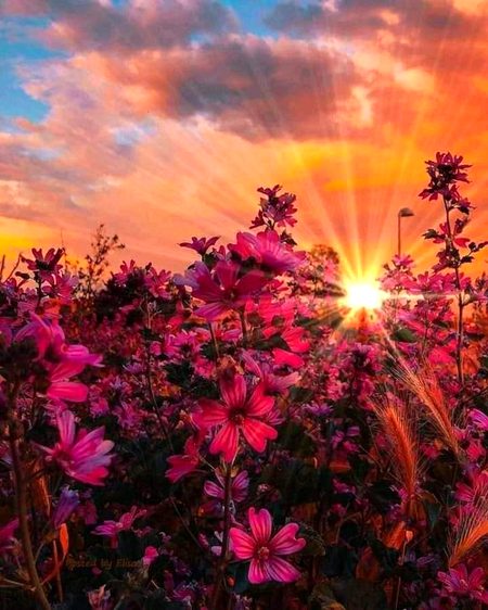 Beautiful nature❤️❤️❤️