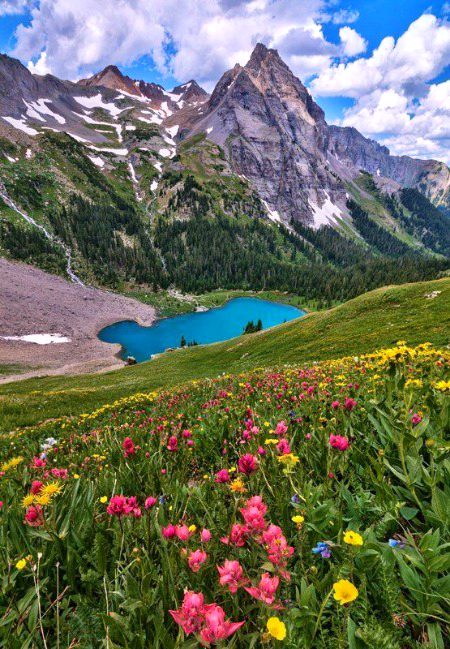 Beautiful Nature image