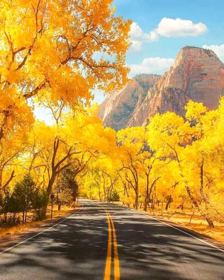 Beautiful Nature image