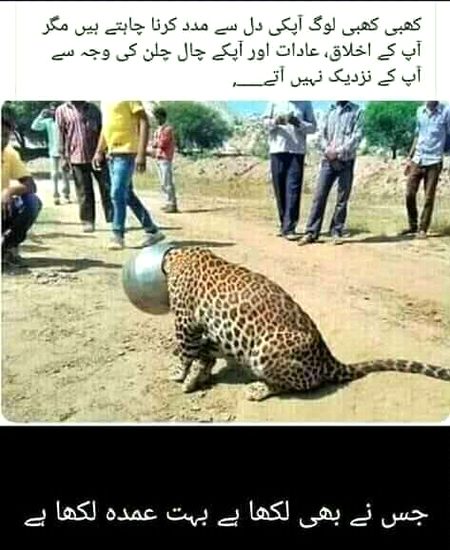 100% right..😐,,