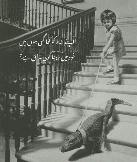 میرا دل میری شخصیت کی قید میں ہے ٠٠٠٠