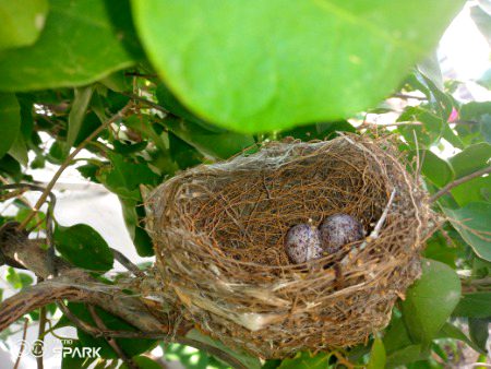 Beautiful Nature image