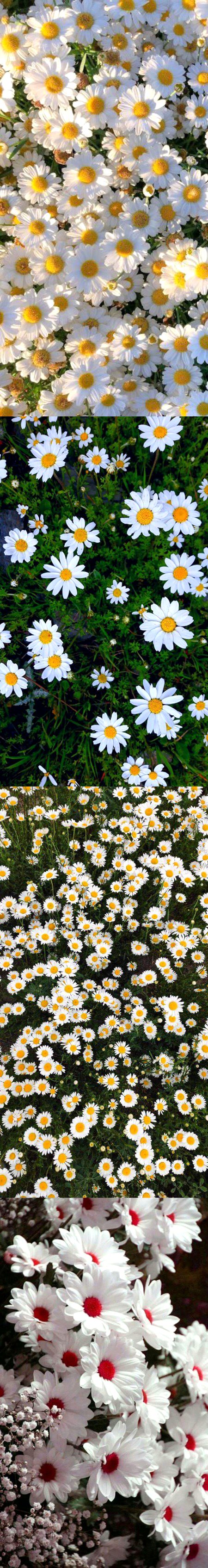 Beautiful Nature image