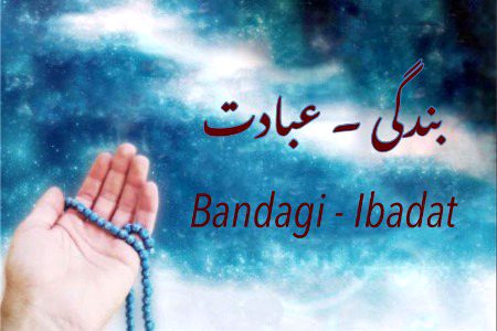 تجھ سے بھی عاشقی نہیں ہوتی
مجھ سے بھی دل لگی نہیں ہوتی
یار یہ عشق تو عبادت ہے
ہم سے تو بندگی...نہیں ہوتی