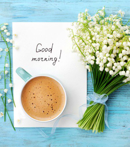 Sweet c morning with tea 🌄🌄🌄🌄