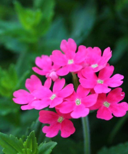 Beautiful Nature image