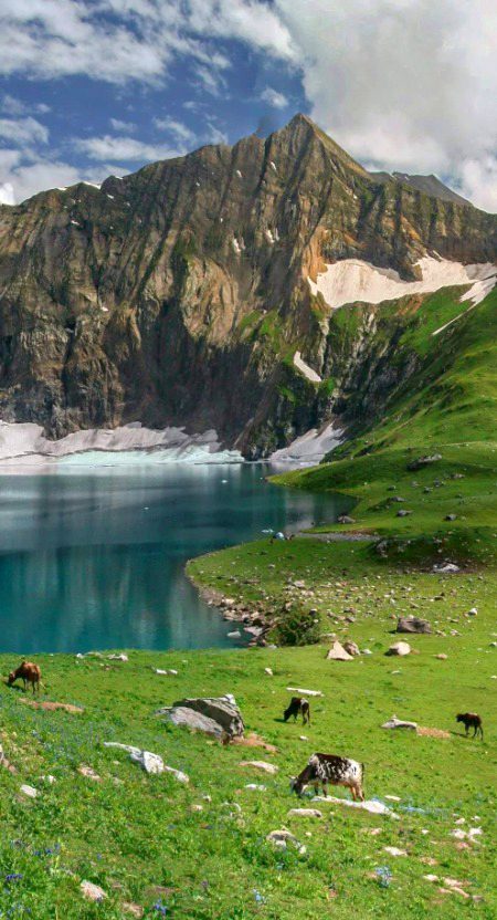 Beautiful Nature image