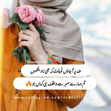 Attitude Quotes image