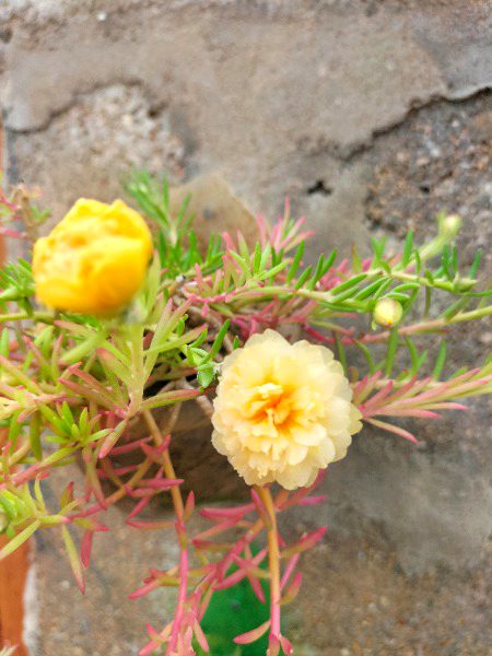 Beautiful Nature image