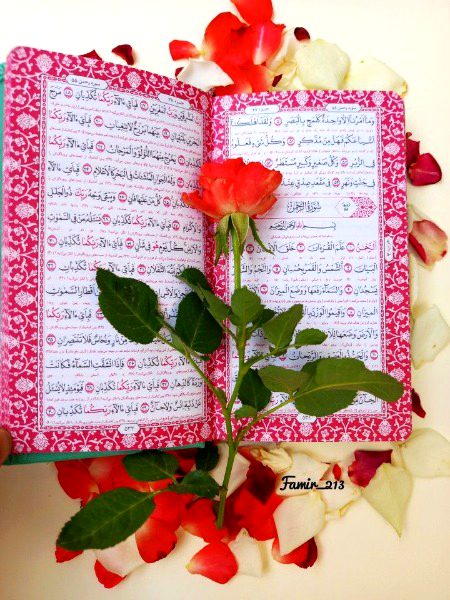 Islamic Quotes image