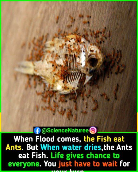 Interesting Posts image