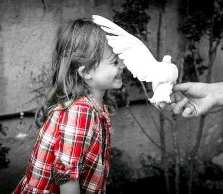 ہم سے تہذیب کا دامن نہیں چھوڑا جاتا
 دشتِ وحشت میں بھی آداب لیے پھرتے ہیں🖤