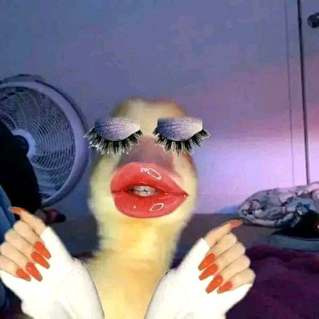 Some girls after makeup