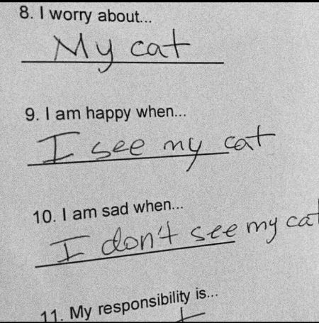 Memes & Satire image