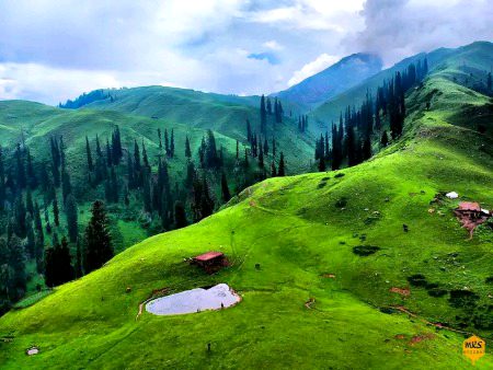 Beautiful Nature image