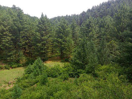 Nature