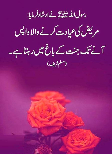 Islamic Quotes image