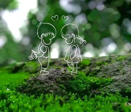 Beautiful Nature image