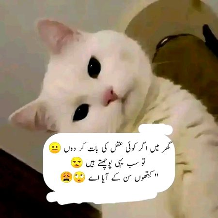 Sub pochty Hn????  😞