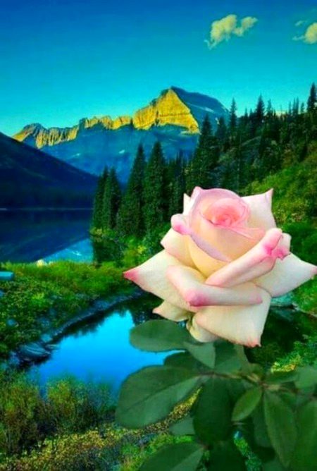Beautiful Nature image