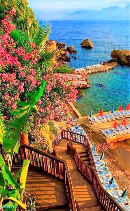 Beautiful Nature image