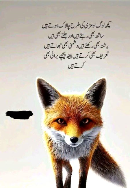 Allah mehfoz rakhein easy logoon se