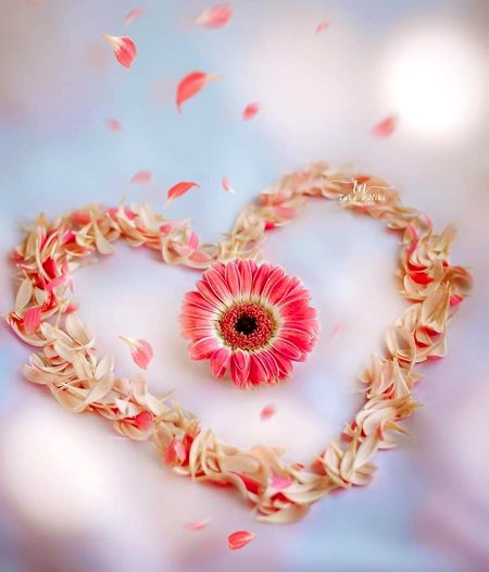 *وہ رُسوا نہیں کرتا زمانے کی طرح ،*
*وہ اپنے در پر آنے والوں کو تھام لیتا ہے ،*
*وہ دلوں کے راز سنبھال لیتا ہے ،*
*وہ ٹوٹے دلوں کو جوڑ دیتا ہے ،* 
*بکھری روح کو سنوار دیتا ہے ،*
*وہ "اللّٰه" ہے جو ہر کِسی کو نواز دیتا ہے ..!!❤️*